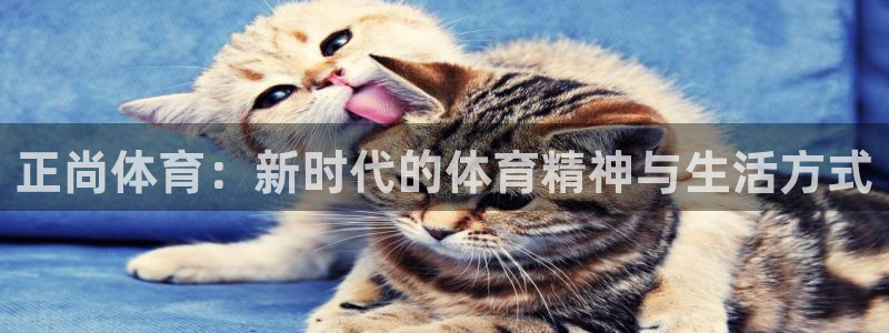 球速体育：正尚体育：新时代的体育精神与生活方式