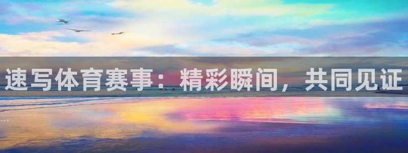 球速体育：速写体育赛事：精彩瞬间，共同见证