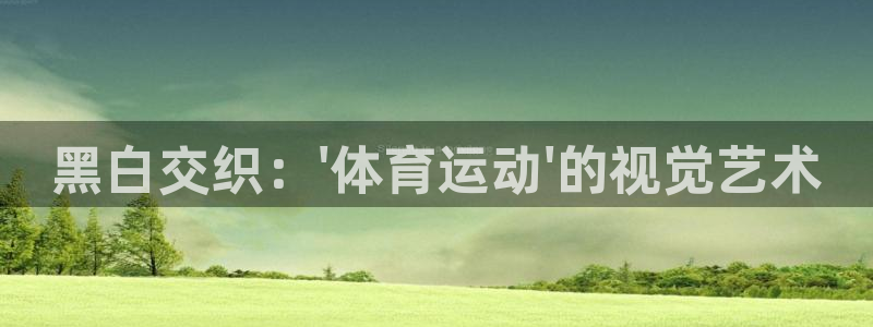 球速体育：黑白交织：\'体育运动\'的视觉艺术