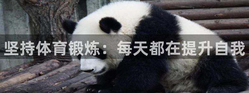 球速体育：坚持体育锻炼：每天都在提升自我