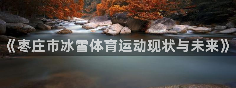 球速体育：《枣庄市冰雪体育运动现状与未来》