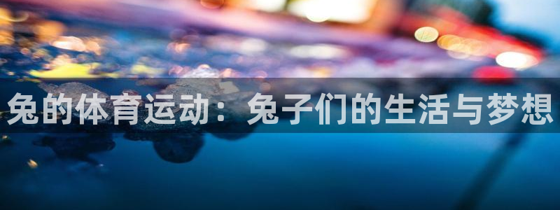 球速体育：兔的体育运动：兔子们的生活与梦想