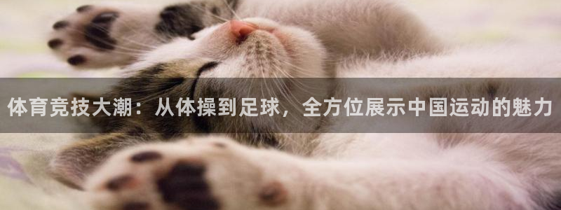 球速体育：体育竞技大潮：从体操到足球，全方位展示中国运动的魅力