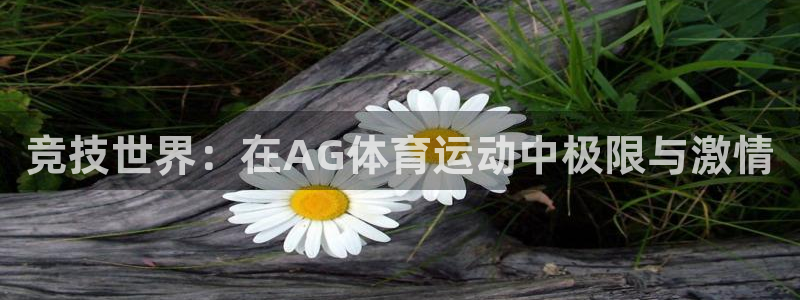 球速体育：竞技世界：在AG体育运动中极限与激情